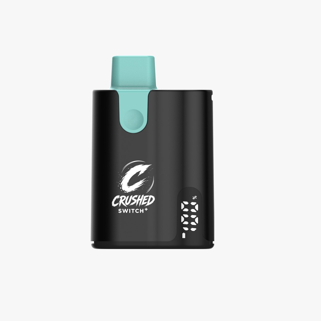 Miami Mint Kit